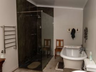 A frameless shower with tinted glass A frameless shower with tinted glass